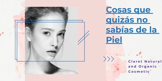 Cosas que quizás no sabías de la Piel