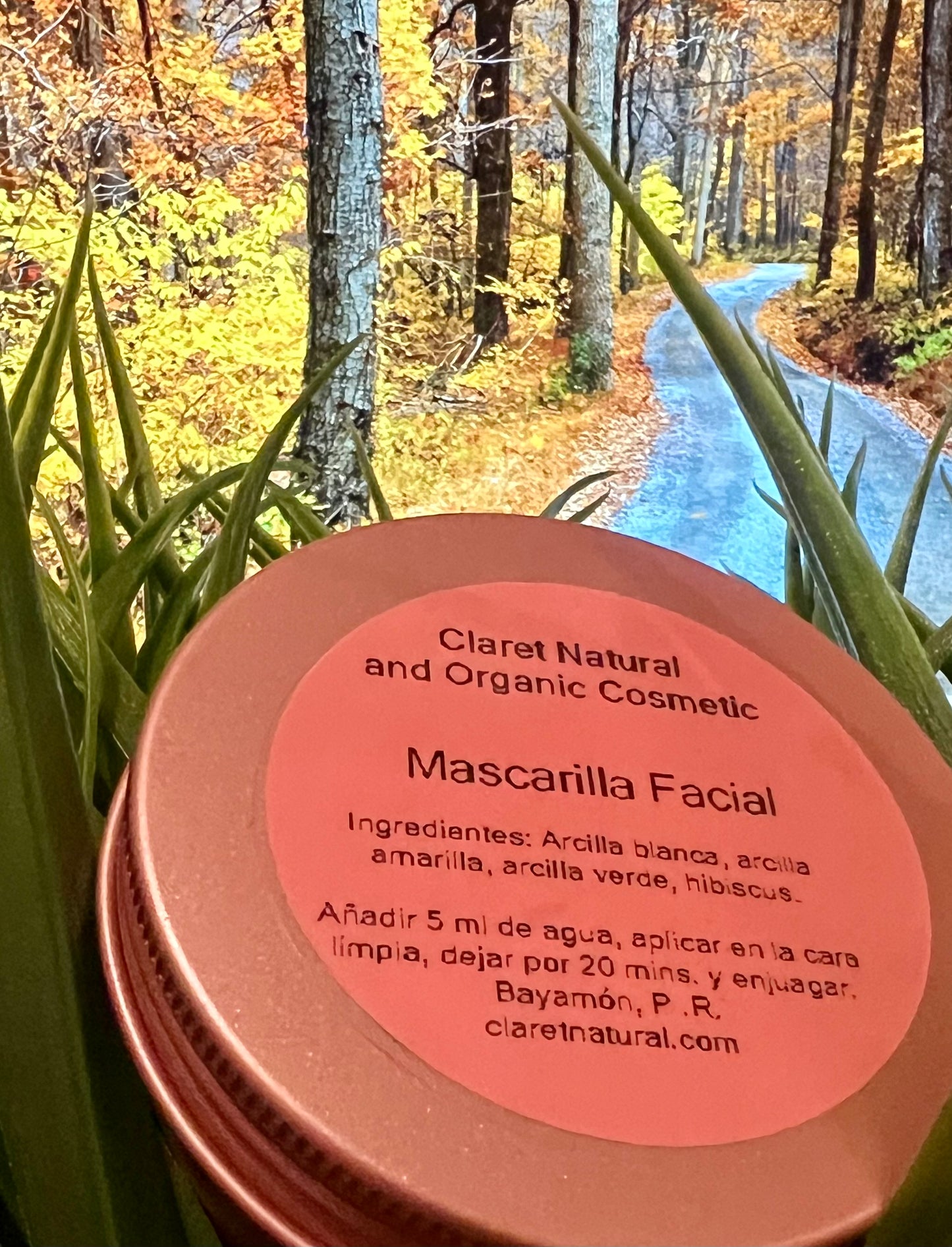 Mascarilla Facial